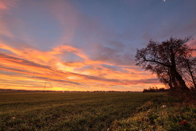 Scenic view of field against sky during sunset