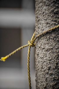 Close-up of rope tied on wooden post