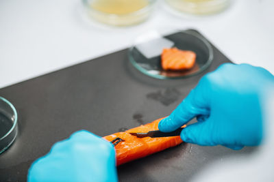 Food quality control of sea fish. quality control inspector analyzing salmon in a laboratory.