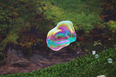 Close-up of bubbles in field