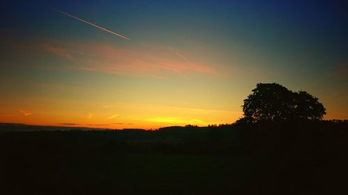 Silhouette trees against sky during sunset
