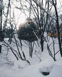 Bare trees on snow covered landscape