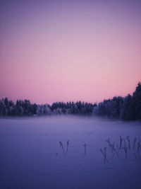 dawn