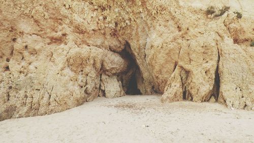 Close-up of rock formation on beach