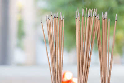 Close-up of incense sticks at temple