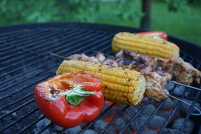 Close-up of food on barbecue grill at back yard