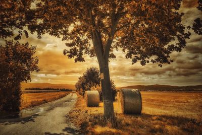 Scenic view of field against cloudy sky