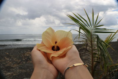 Close-up of hand holding small plant against sky