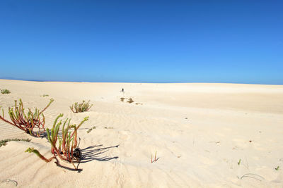 Scenic view of desert against clear blue sky