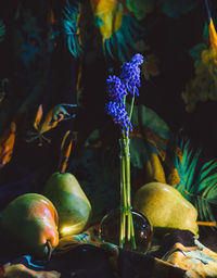 Close-up of apples on plant
