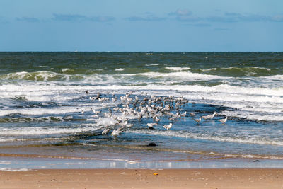 Scenic view of sea against sky