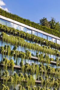 Germany, baden-wurttemberg, stuttgart, office building covered in green creeping plants