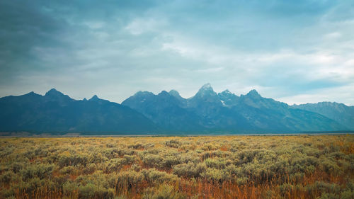 Scenic view of lake and mountains against sky,yellowstone wyoming