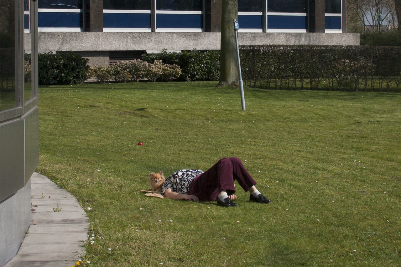 grass, outdoors, lying down, one person, one man only, adults only, animal themes, day, people, mammal, nature, adult