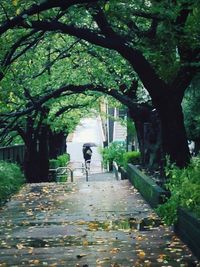 Footpath leading to building