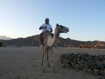 Man showing thumbs up while riding camel against clear sky