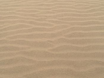 Close-up of sand dune