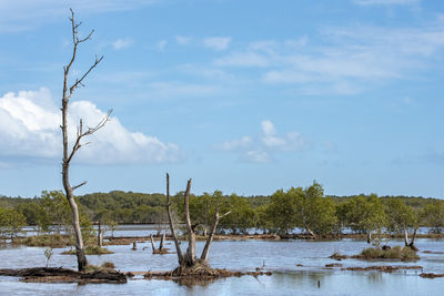 Scenic view of lake against sky