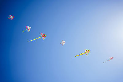 Colorful flying kites in the sky