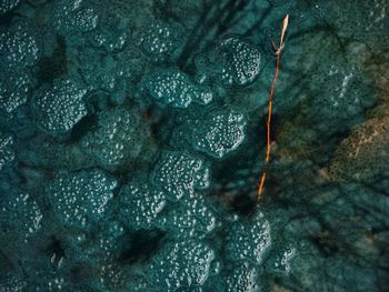 Full frame shot of wet rock