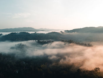 Scenic view of forest during sunrise against sky