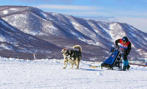 People riding horse on snowcapped mountain