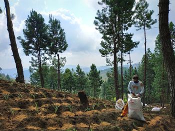 People on road amidst trees in forest against sky