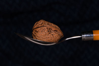 Close-up of chocolate cake on table against black background