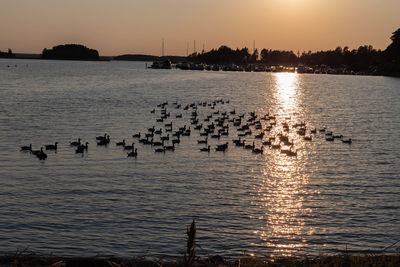 Silhouette people swimming in sea against sky during sunset