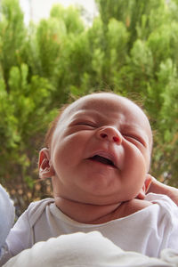 Portrait of boy