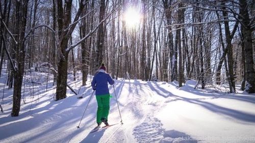 Person walking on snow covered landscape