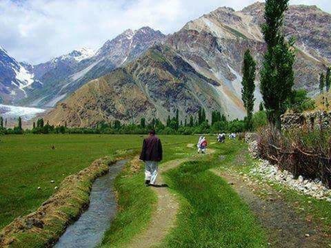 mountain, landscape, rural scene, agriculture, scenics, nature, mountain range, beauty in nature, day, cloud - sky, tranquility, outdoors, grass, terraced field, tree, travel destinations, men, women, people, occupation, sky, adult, water, working, adults only, rice paddy, only men