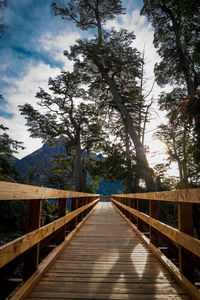 Wooden footbridge along plants and trees against sky