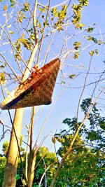 Low angle view of butterfly on tree against sky