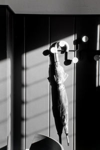 Low angle view of silhouette man standing by window