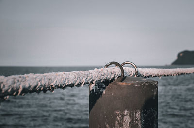 Wood brigde with ropes for safety.