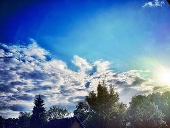 Low angle view of trees against blue sky