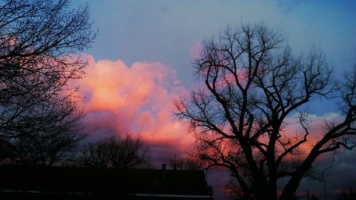 Low angle view of silhouette tree against dramatic sky