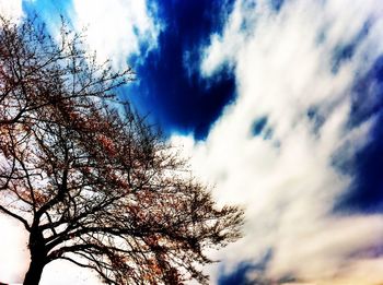 Low angle view of bare tree against cloudy sky