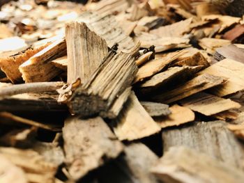 Full frame shot of logs in forest