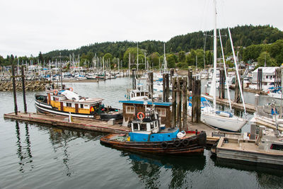 Sailboats moored in harbor against sky