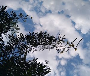 Low angle view of silhouette tree against sky