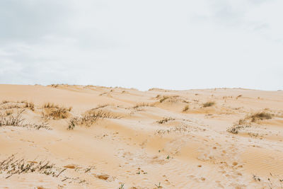 Scenic view of desert against sky