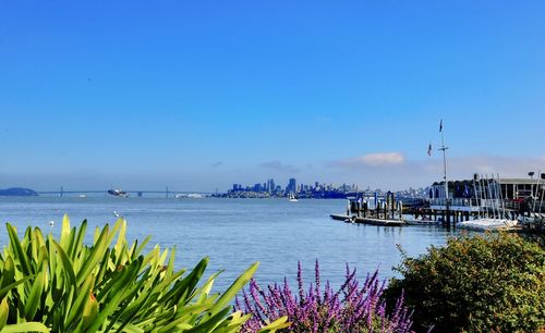 Scenic view of sea against clear blue sky