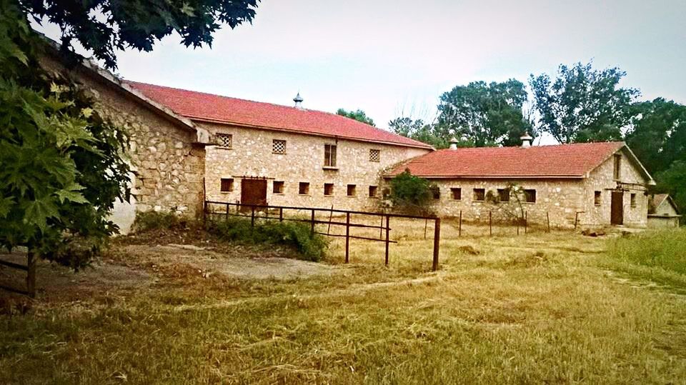 architecture, building exterior, built structure, house, grass, sky, tree, no people, outdoors, day, detached house, nature