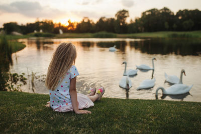 View of birds in lake