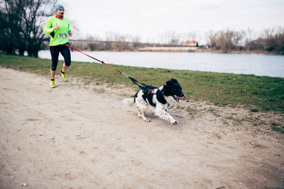 Rear view of dog running on field