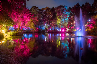 Illuminated trees by lake against sky at night