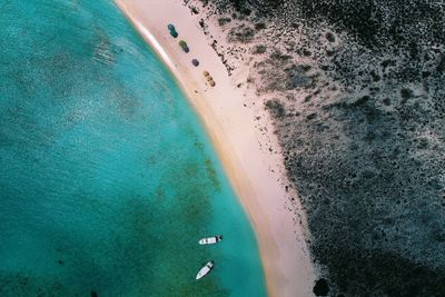 Aerial view of island and beach in los roques, venezuela