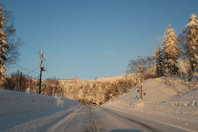 Road amidst snow covered trees against sky